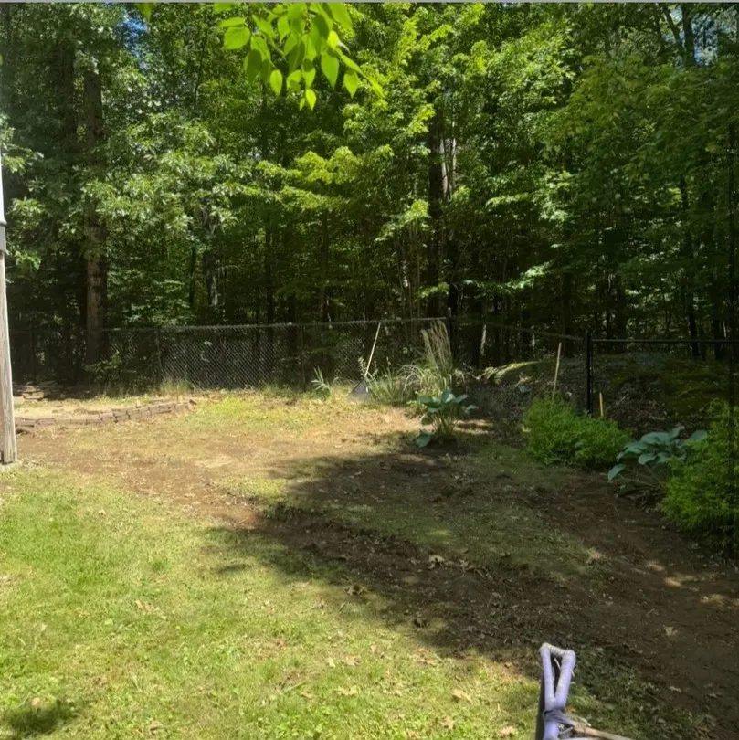 Yard after concrete and rock were removed