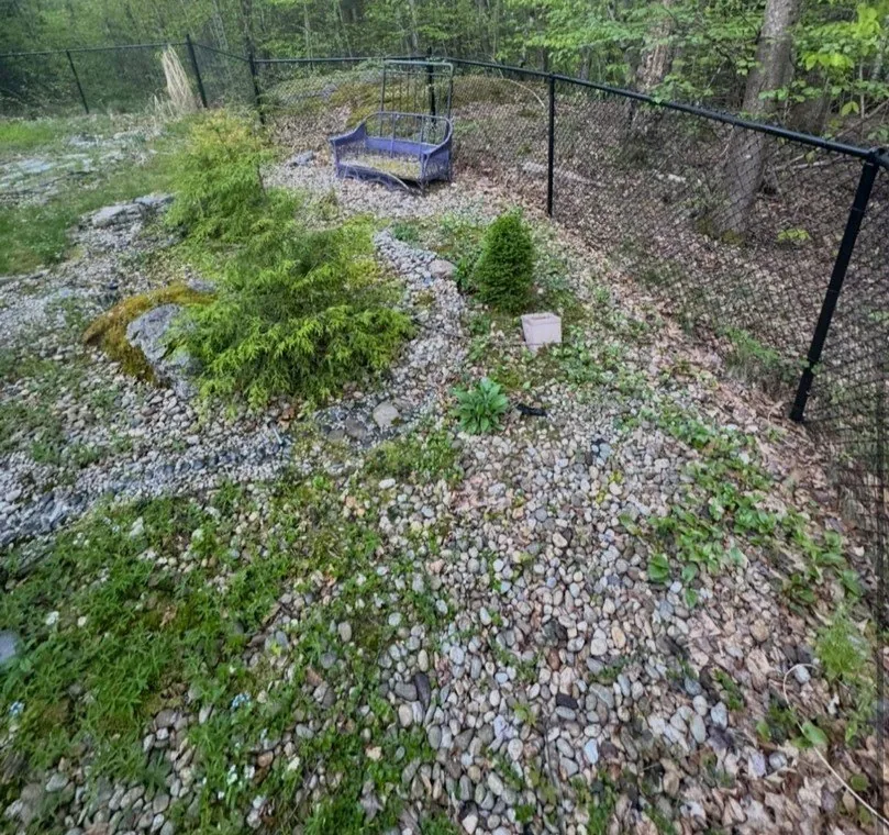 Rocky yard before concrete and rock removal