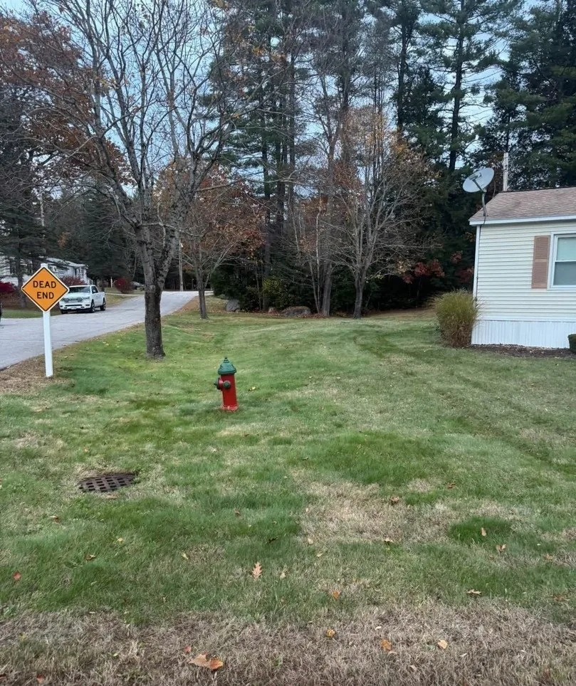 Lawn after a fall leaf cleanup
