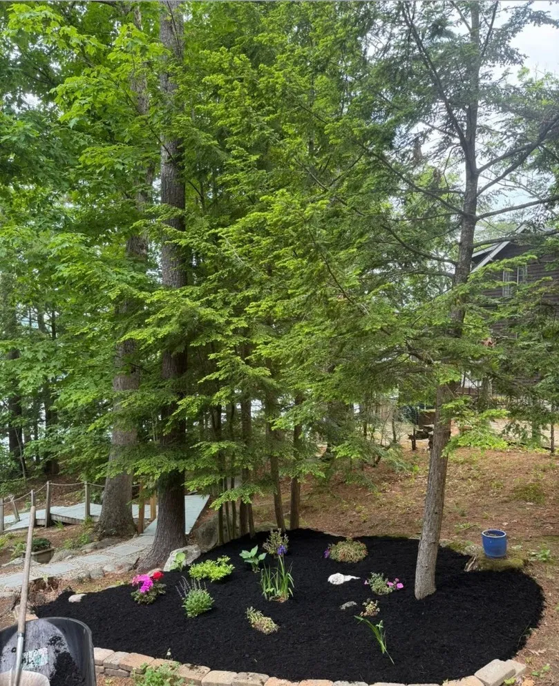 Finished mulch bed with new plantings