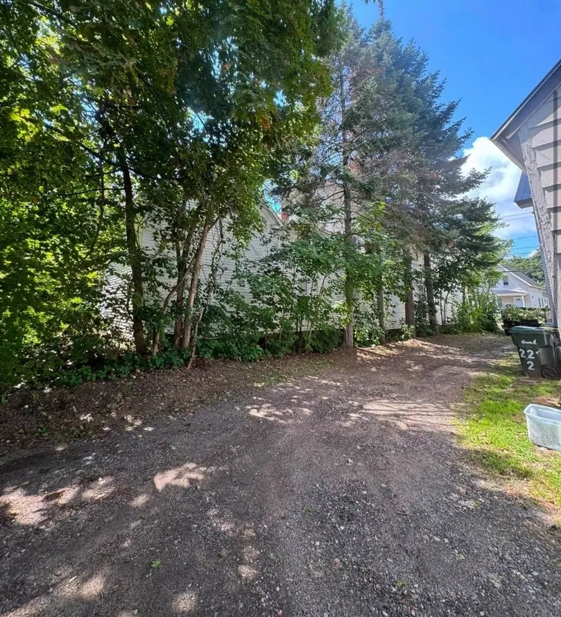 Cleared area after tree removal in Laconia